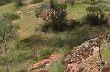 pinnacles025