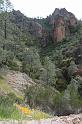 pinnacles046