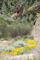 pinnacles048