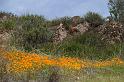 pinnacles052