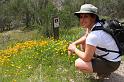 pinnacles096