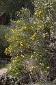 pinnacles110