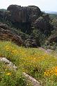 pinnacles111