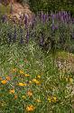 pinnacles119