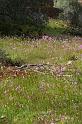pinnacles170