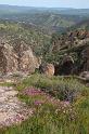 pinnacles174