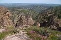pinnacles175
