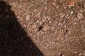 pinnacles181