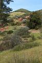 pinnacles256