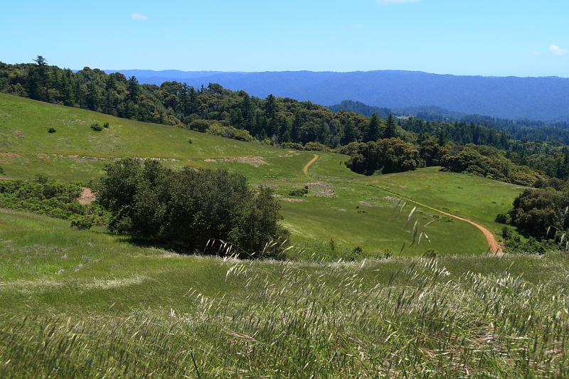 russianridge08.JPG - Despite the temperature and wind, it was very clear and still green.