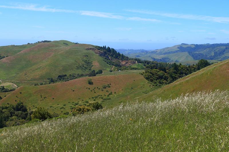 russianridge20.JPG - Some areas are starting to turn brown.