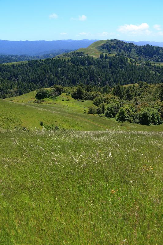 russianridge29.JPG - Russian Ridge.