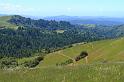 russianridge14