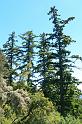 russianridge42