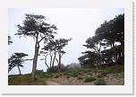 sf1 * San Francisco, near the Cliff House and Point Lobos. * 1000 x 667 * (357KB)