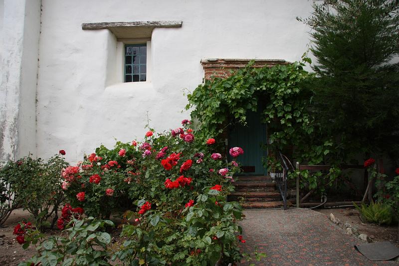 SJB022.JPG - The roses here were in better shape than mine at home.