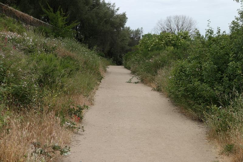 SJB034.JPG - Walking on El Camino.