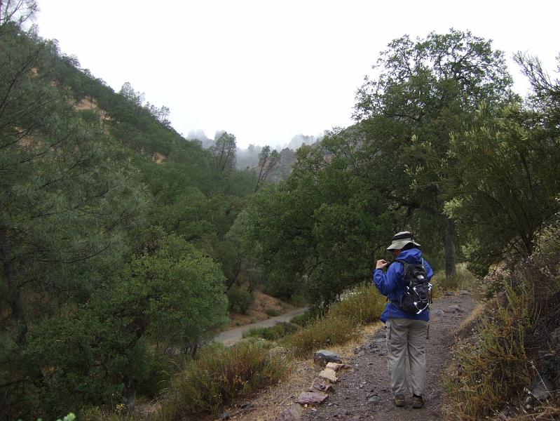 SJB060.JPG - On Sunday we went to Pinnacles National Monument.