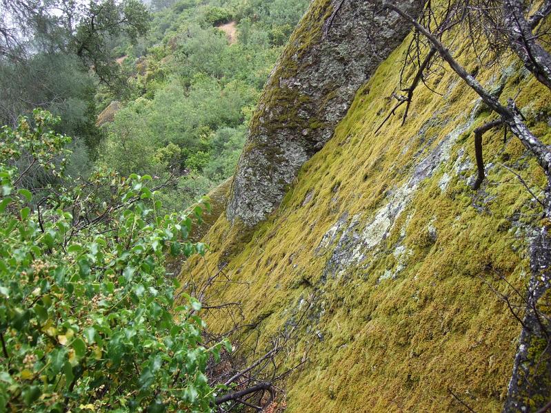 SJB068.JPG - A volcano straddled the San Andreas Fault.