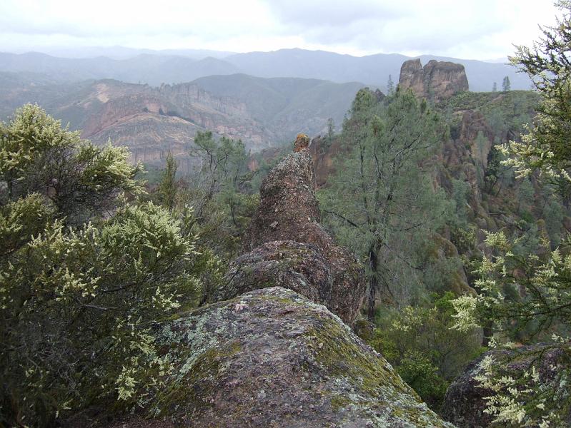 SJB081.JPG - Another good vista.