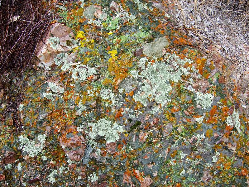 SJB091.JPG - Colorful stuff growing in the rock.  "Stuff" is a technical term.