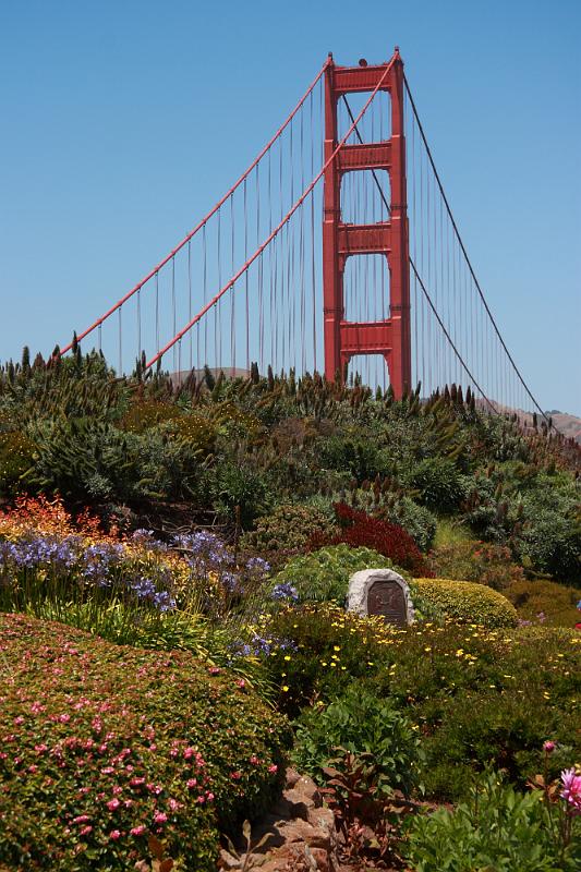 sonoma02.JPG - Flowers were in bloom.  It was windy as usual.