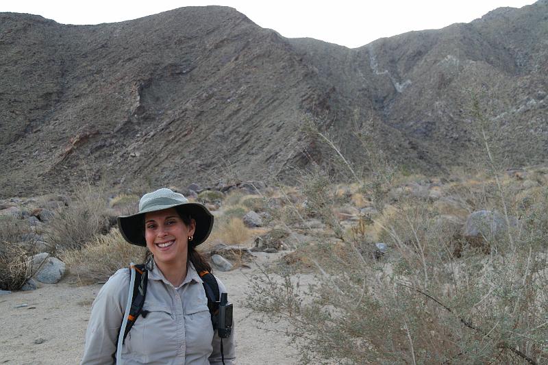 socal101.JPG - Anza-Borrego Desert State Park.