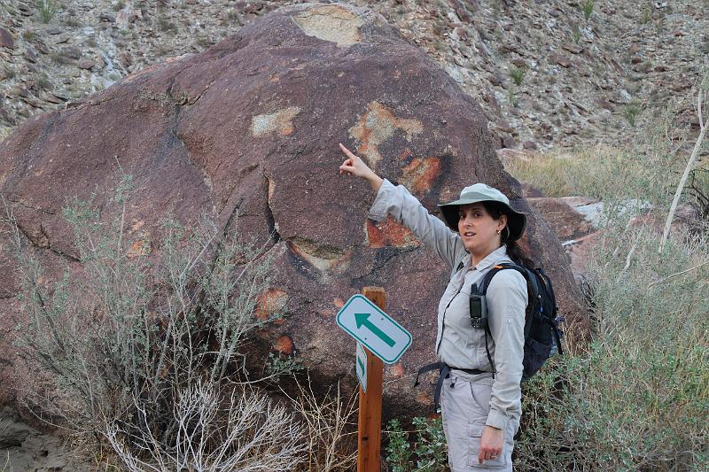 socal103.JPG - Anza-Borrego Desert State Park. Why am I not surprised on the suggested direction?