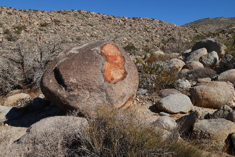 socal126.JPG - Anza-Borrego Desert State Park