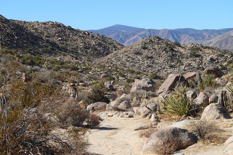 socal129.JPG - Anza-Borrego Desert State Park.  It's a desert alright.