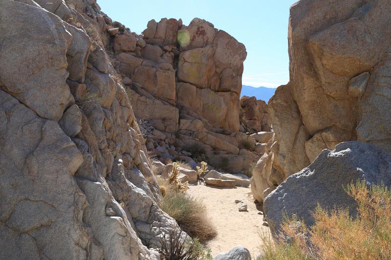 socal161.JPG - Anza-Borrego Desert State Park.  Heading to a view of the surrounding valley.