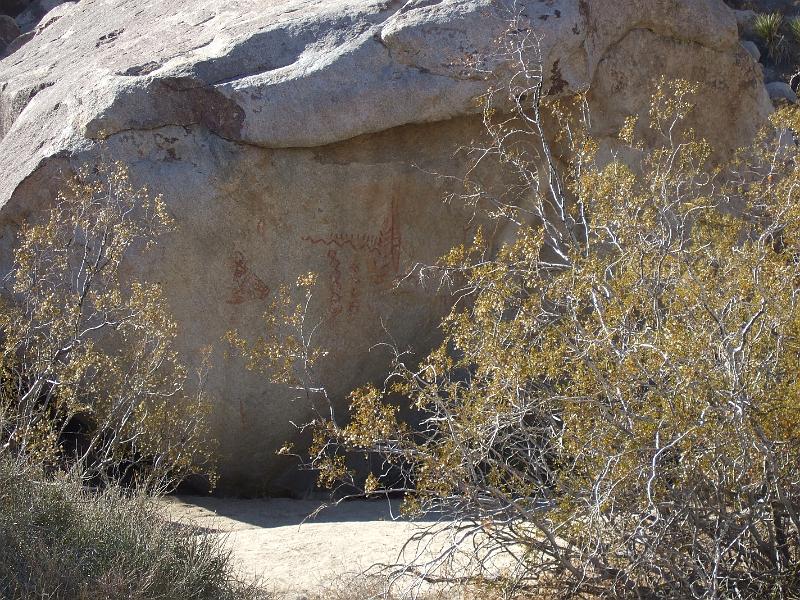 socal175.JPG - Anza-Borrego Desert State Park