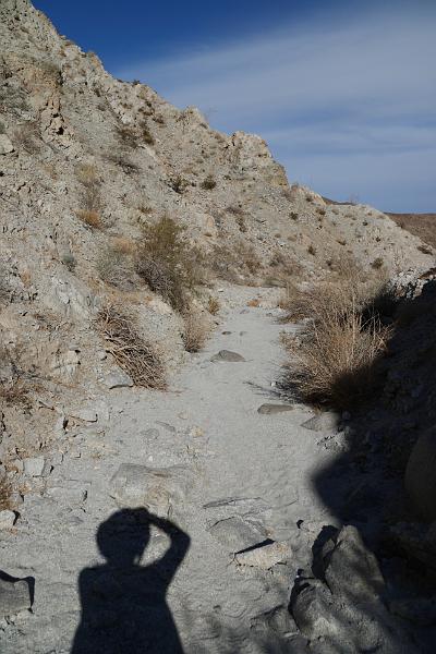 socal239.JPG - Anza-Borrego Desert State Park