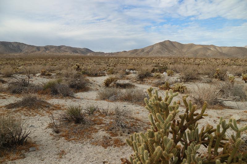 socal264.JPG - Anza-Borrego Desert State Park