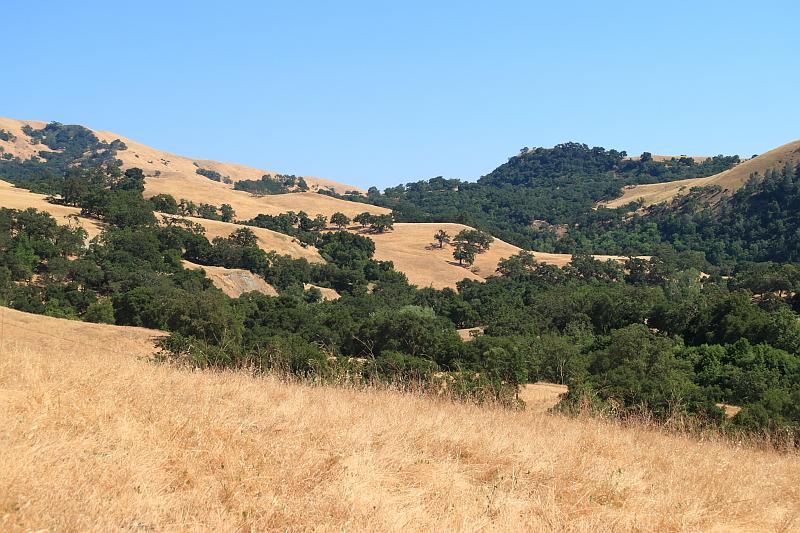 sonoma24.JPG - Along the trail.  It was warm - mid 80s.
