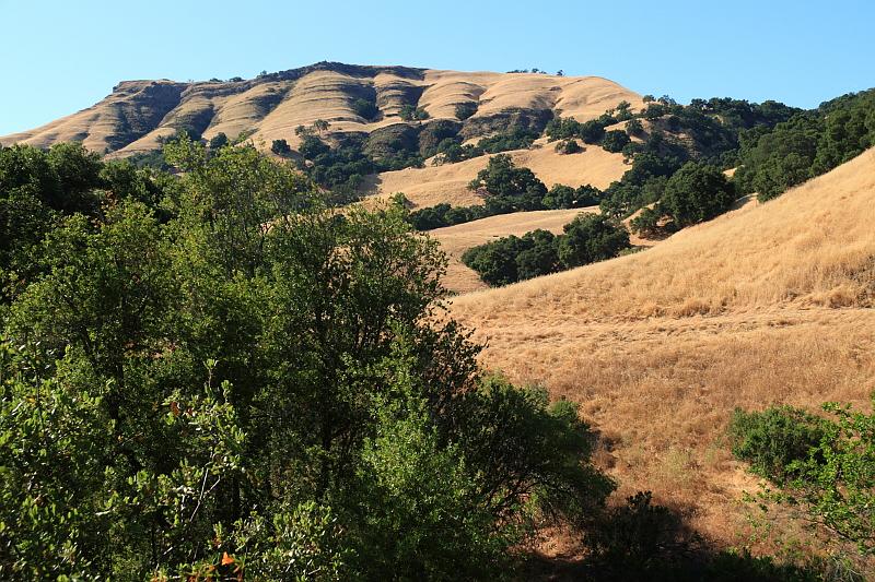 sonoma34.JPG - The hills later in the day.  Now we'll head home for dinner.