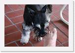 thanksgiving2007_101 * Whitney enjoys licking my toes. * 1200 x 800 * (196KB)