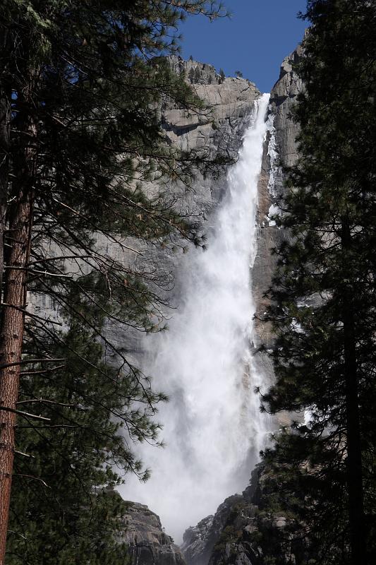 yosemite008.JPG - Yosemite Falls is the tallest waterfall in North America.