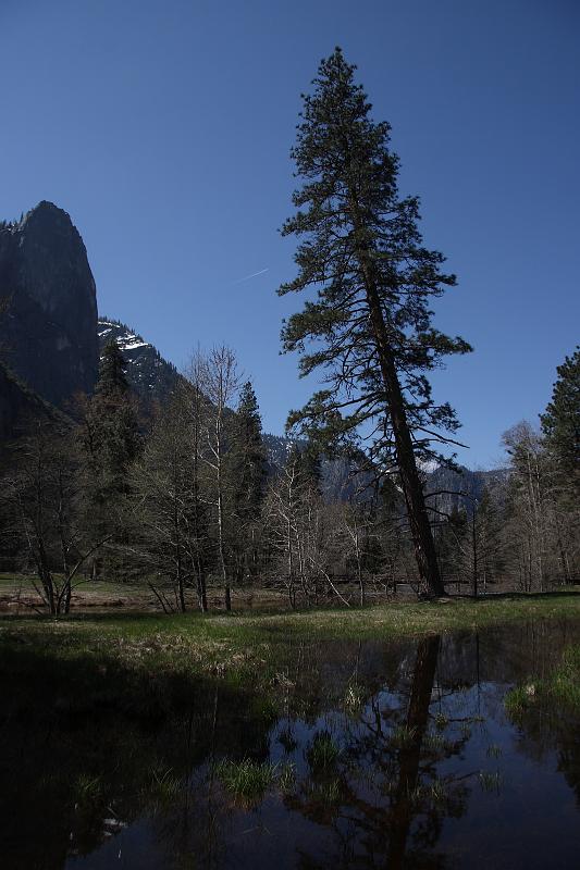 yosemite255.JPG - Yosemite Valley.
