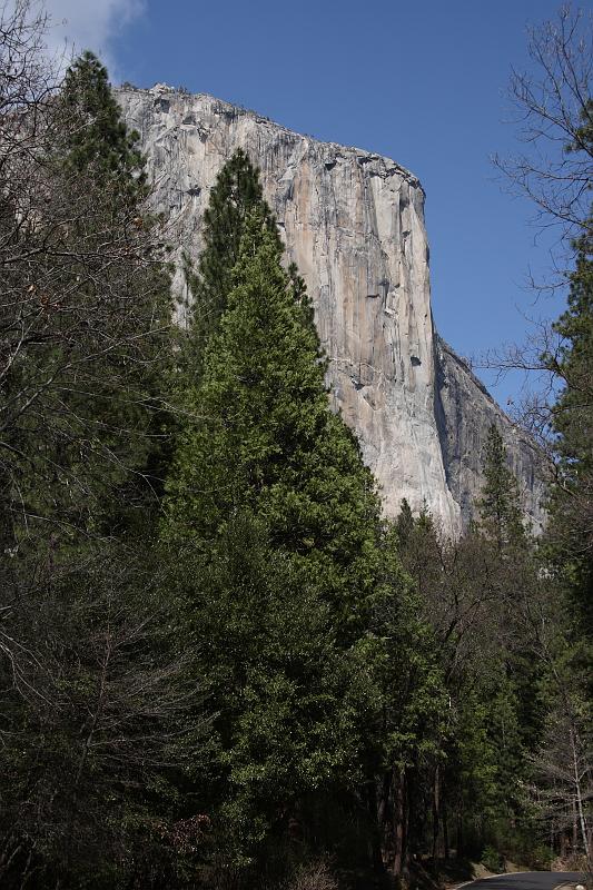 yosemite382.JPG - El Cap.