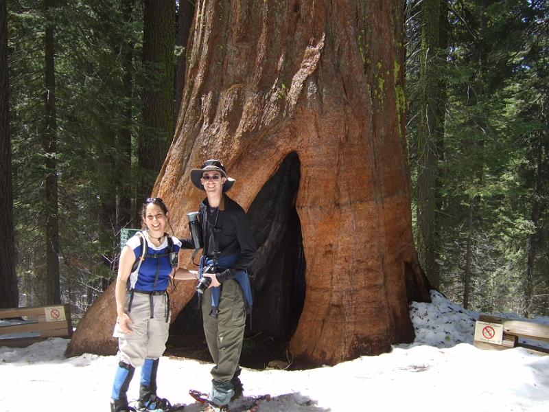 yosemite2010_238.JPG - Posing in front of the giant tree.