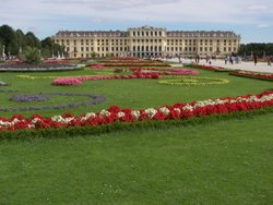 Vienna * (116 Slides)