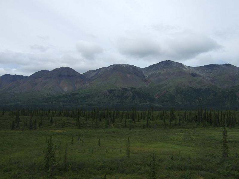 alaska053.JPG - Train ride to Denali.