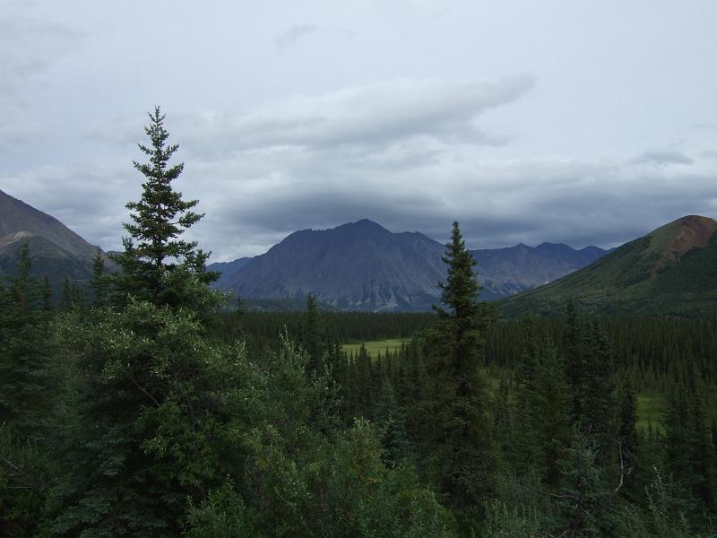 alaska061.JPG - Train ride to Denali.