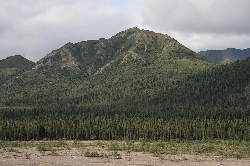 alaska092.JPG - Denali National Park.