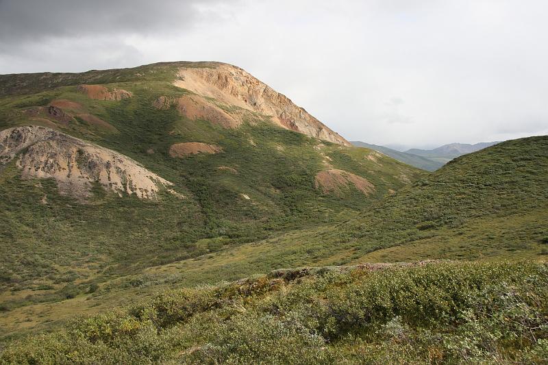alaska162.JPG - Denali National Park