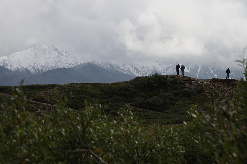 alaska166.JPG - Denali National Park.  This is not Mt. McKinley.