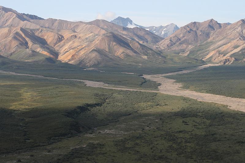 alaska352.JPG - Denali National Park