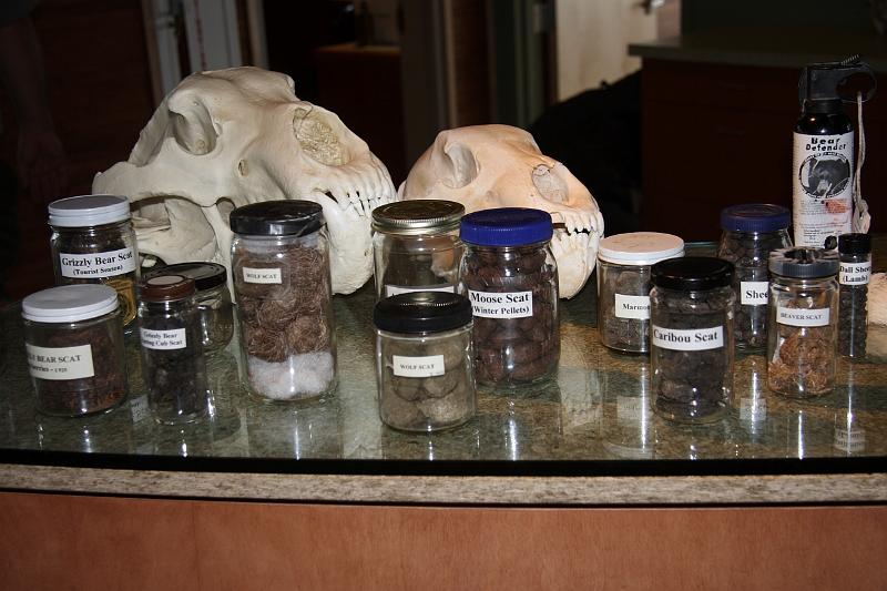 alaska477.JPG - Denali National Park.  Scat collection.