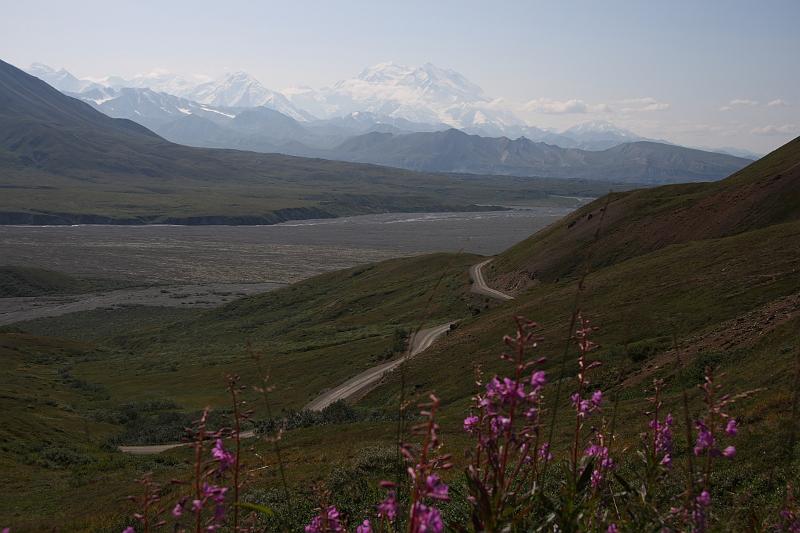 alaska480.JPG - Denali National Park.